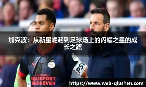 球神高清直播